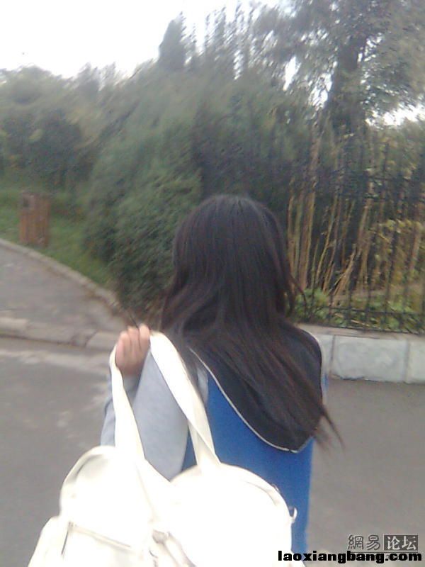 11059438_8337.jpg