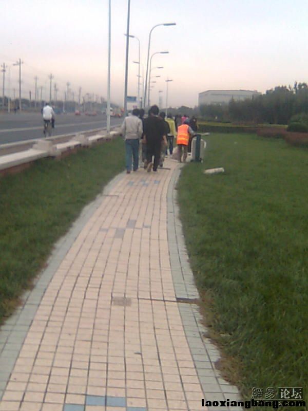 11059441_2088.jpg