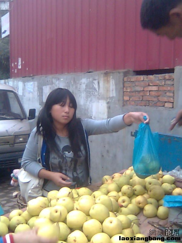 11059447_8270.jpg