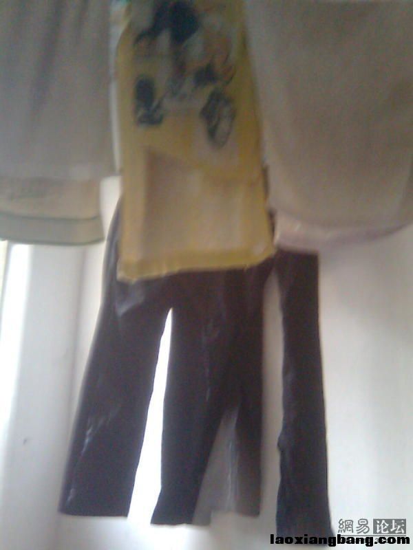 11059495_4054.jpg