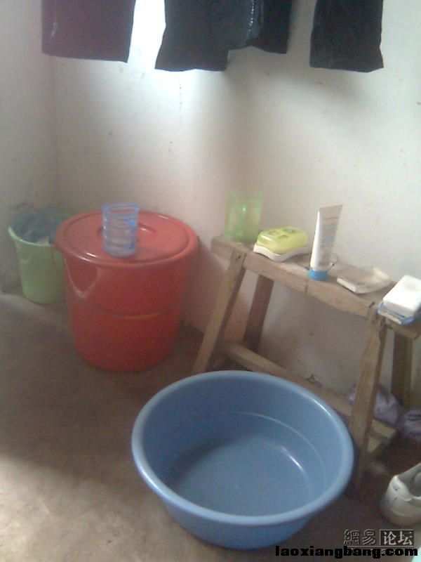 11059498_8444.jpg