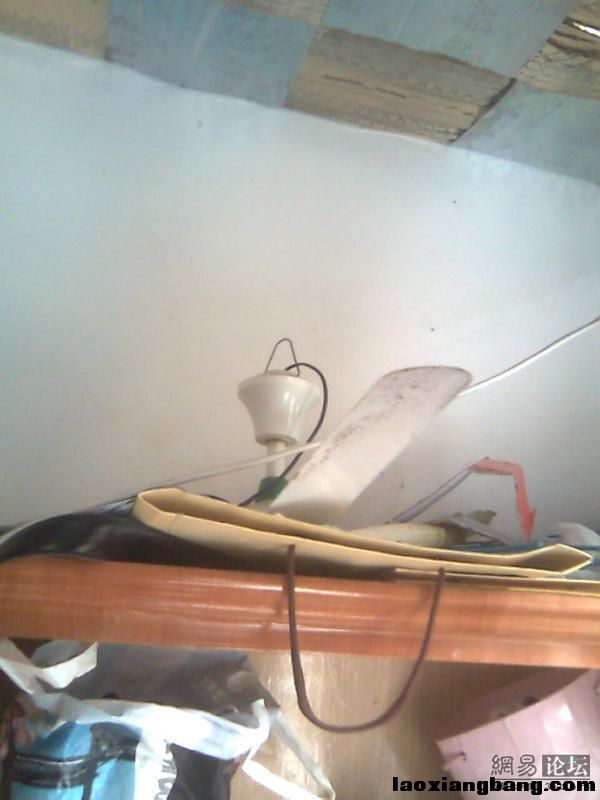 11059507_1721.jpg