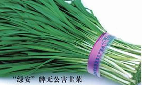 莘县特产：有机鲜蔬，绿安韭菜.jpg