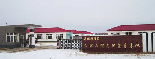 东阿阿胶原料基地-1.jpg