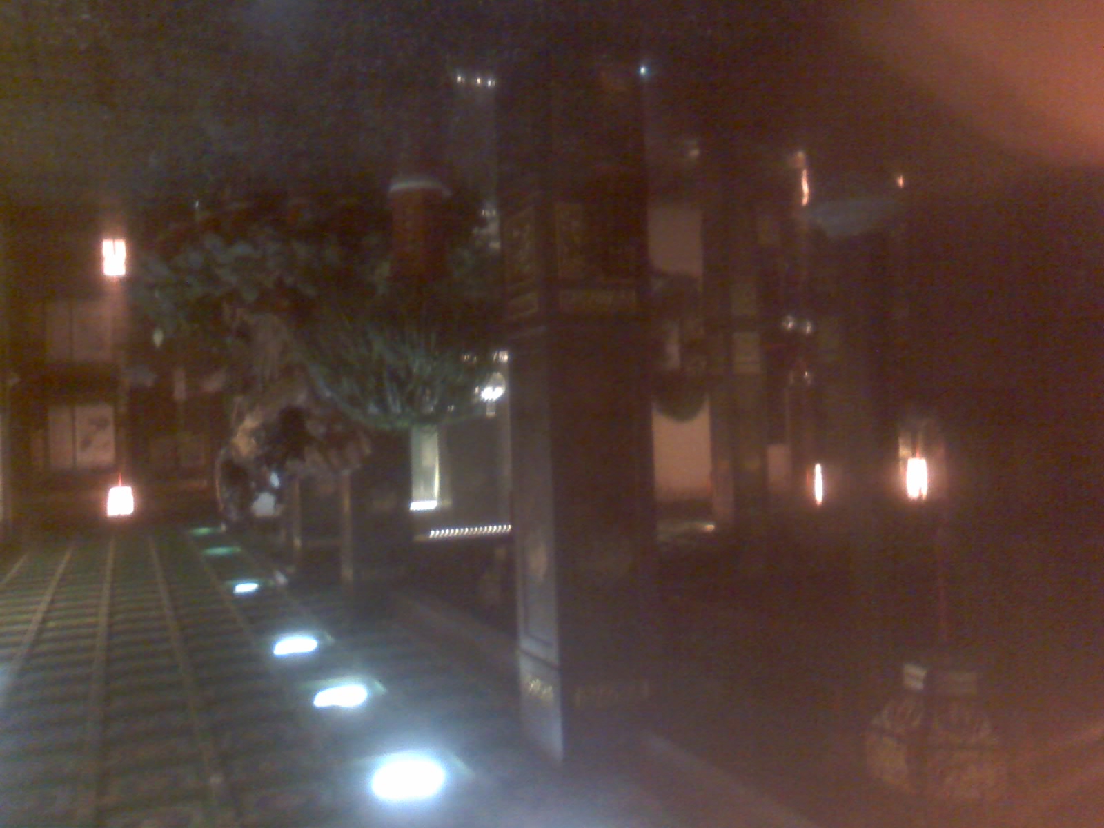 10-08-10_2041.jpg
