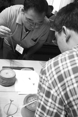 宁津蟋蟀-26.jpg
