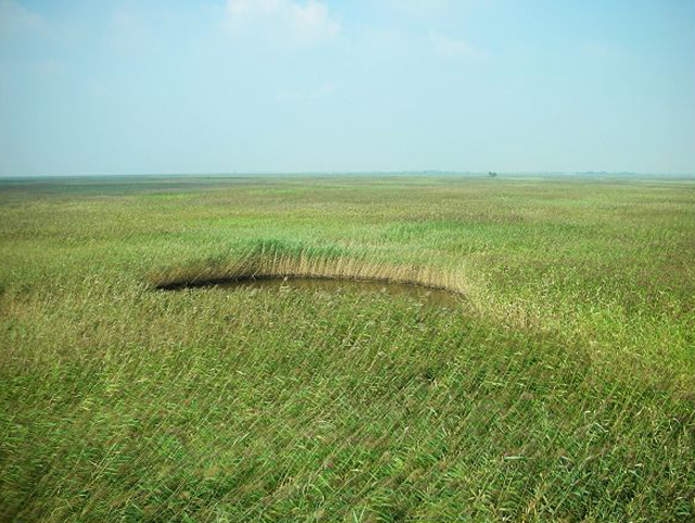 谷村席编-15.jpg