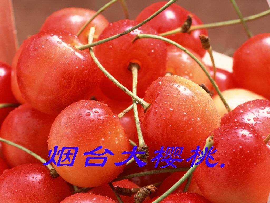 烟台大樱桃-3.jpg