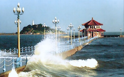 青岛贝雕美-2.jpg