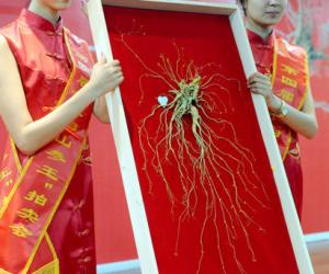 百草之王人参尊享-25.jpg