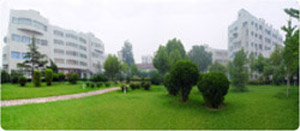 060417d.jpg