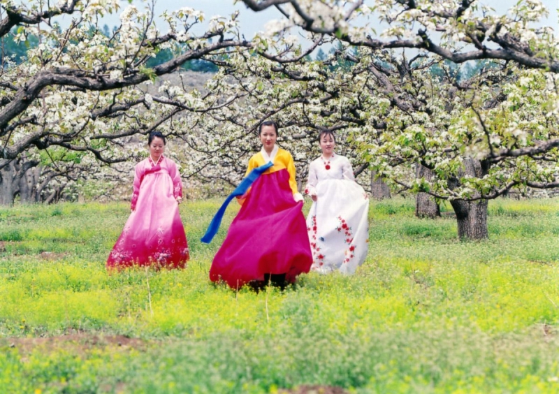 吉林苹果梨-7.jpg