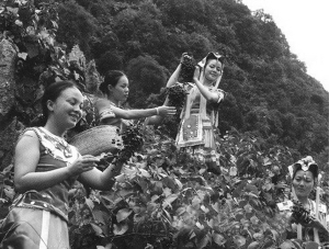 吉林野珍山葡萄酒-16.jpg