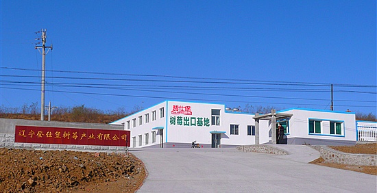 登士堡子红树莓-1.jpg