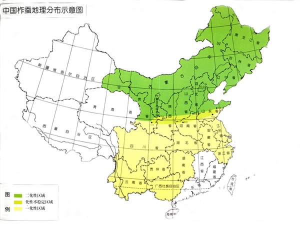 辽宁柞蚕丝绸-14.jpg