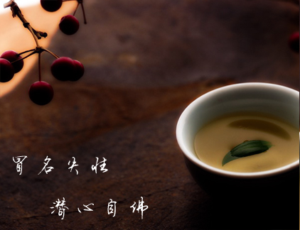 上饶白眉-5.jpg