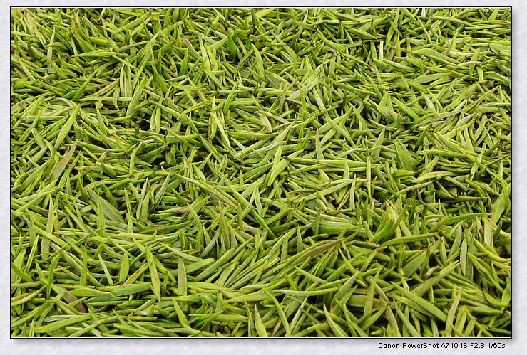 婺源茶叶-11.jpg