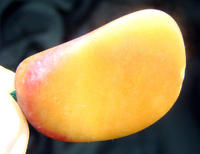 和田玉2.jpg
