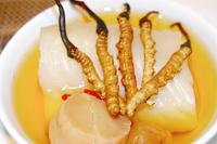 冬虫夏草4.jpg
