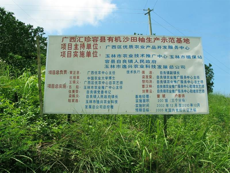 容县沙田柚-18.jpg