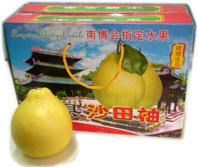 容县沙田柚-28.jpg