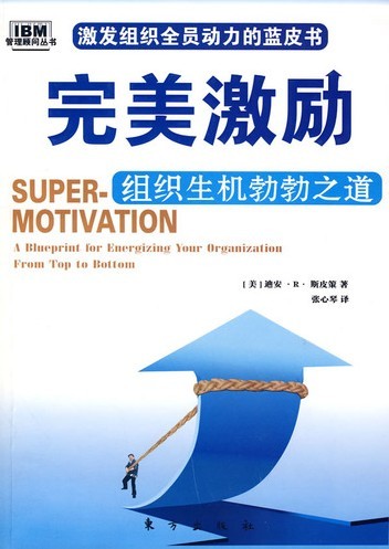 《完美激励》