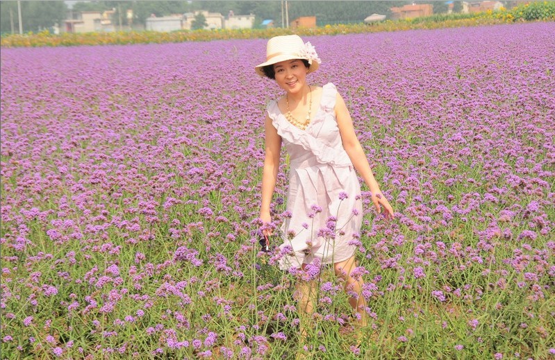 生如夏花-11.jpg