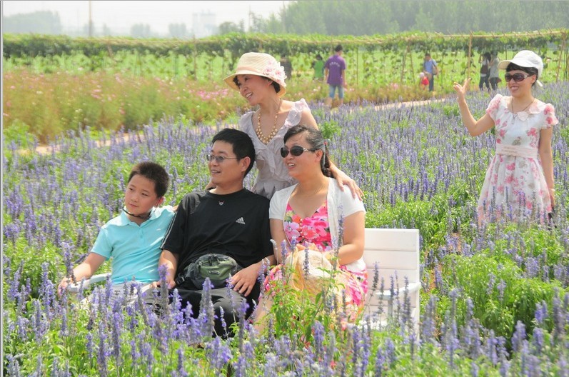 生如夏花-12.jpg