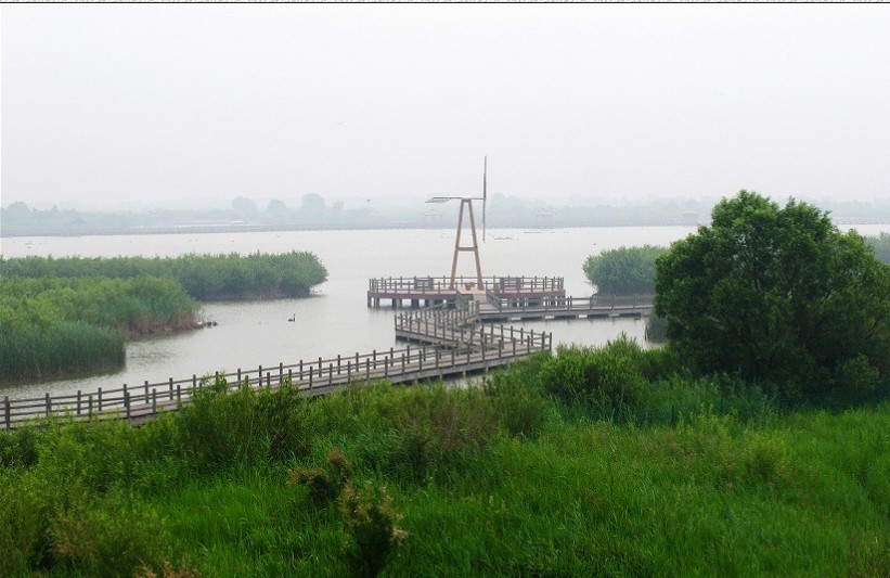 黄河三角洲-6.jpg
