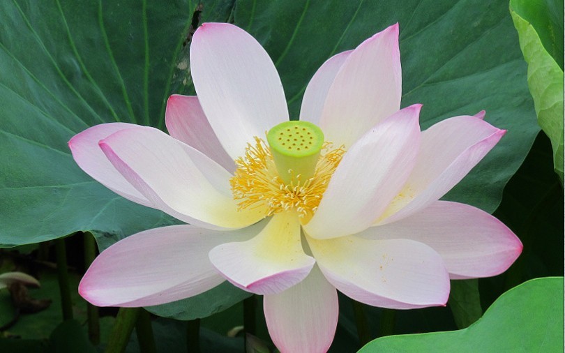东平湖游记-2.jpg