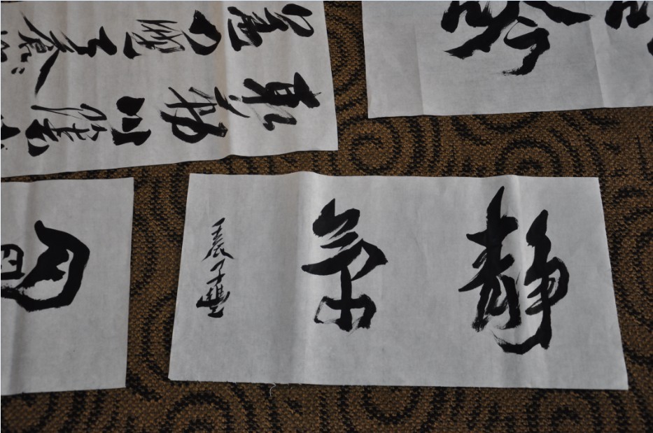 乡约明湖印设赏识书画笔帖联谊会-57.jpg
