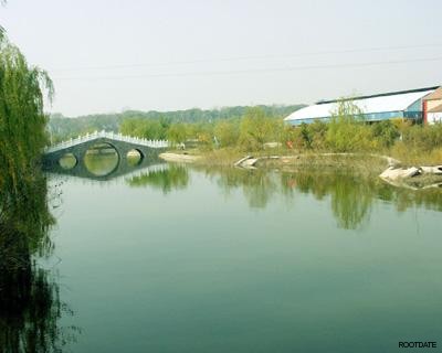 29_1_7b13b388b86dbf9.jpg