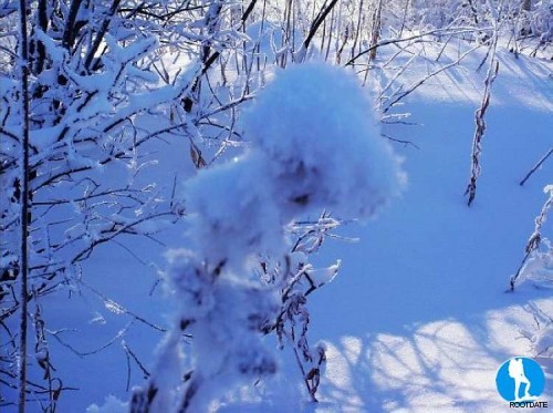 88_15_e99322315d39859.jpg
