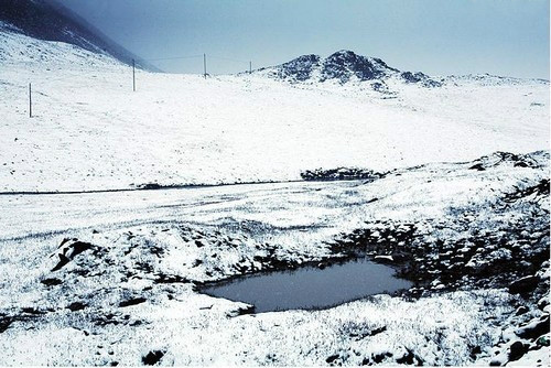 09.jpg