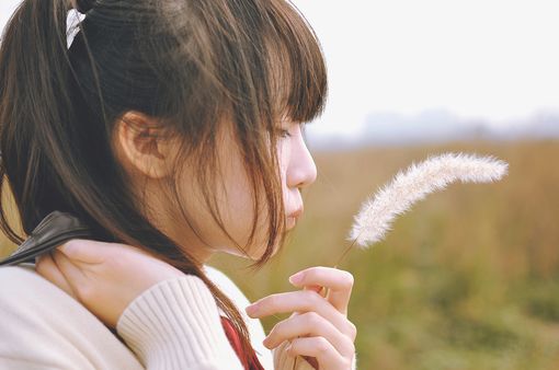 50f15d520f9a0.jpg