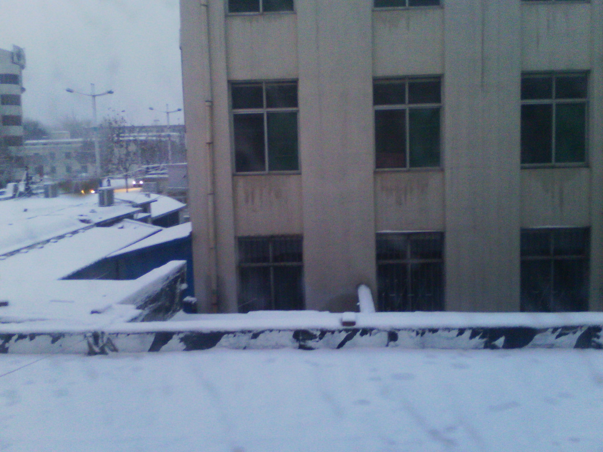 IMG_20121229_071328.jpg