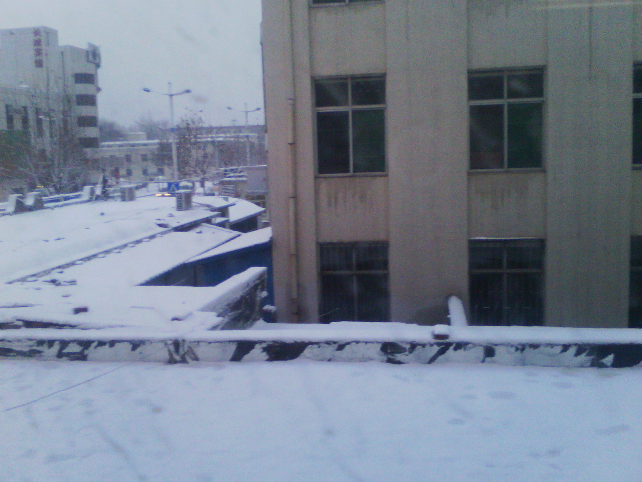 IMG_20121229_071334.jpg
