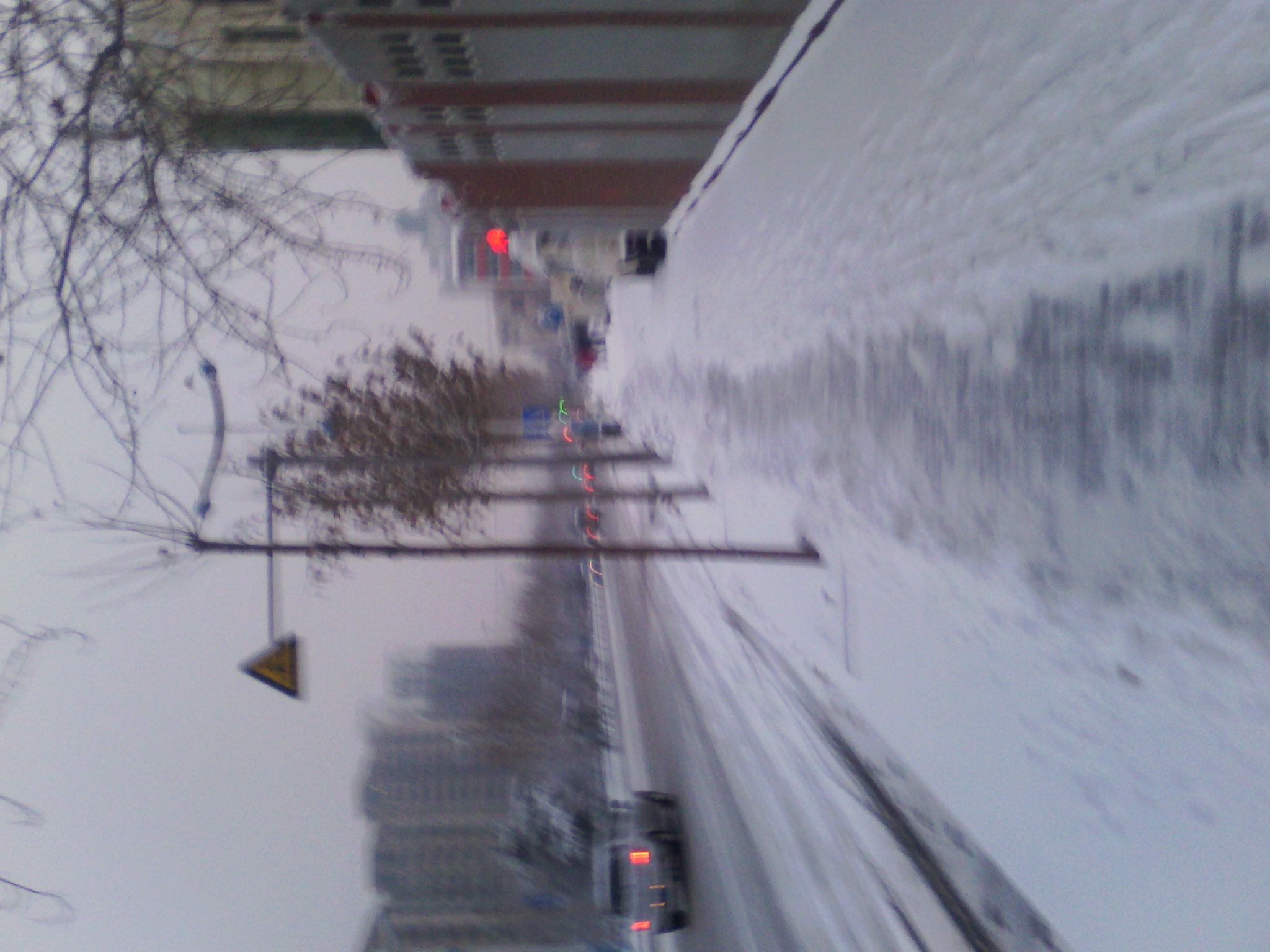IMG_20121229_072615.jpg
