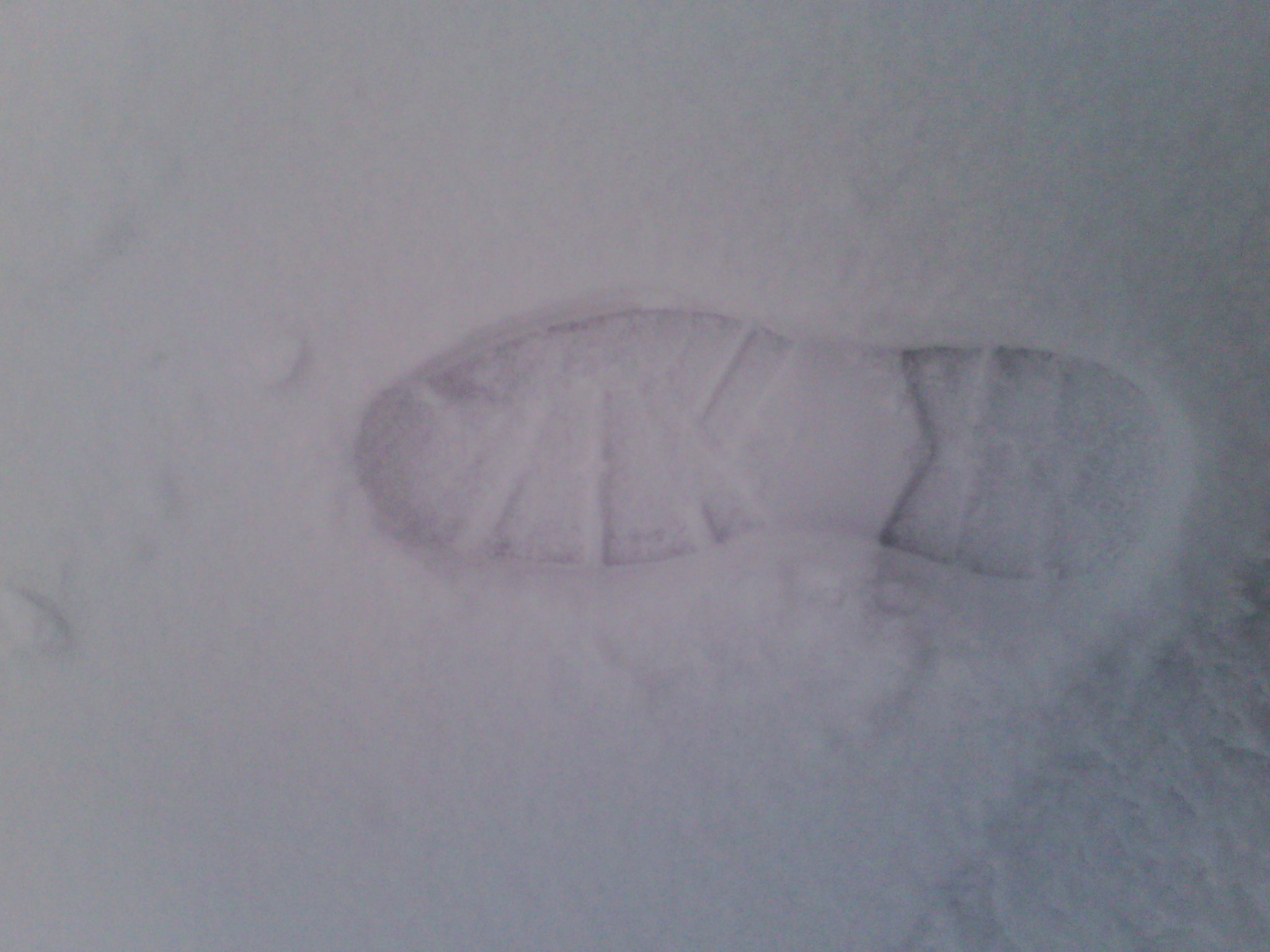 IMG_20121229_072839.jpg