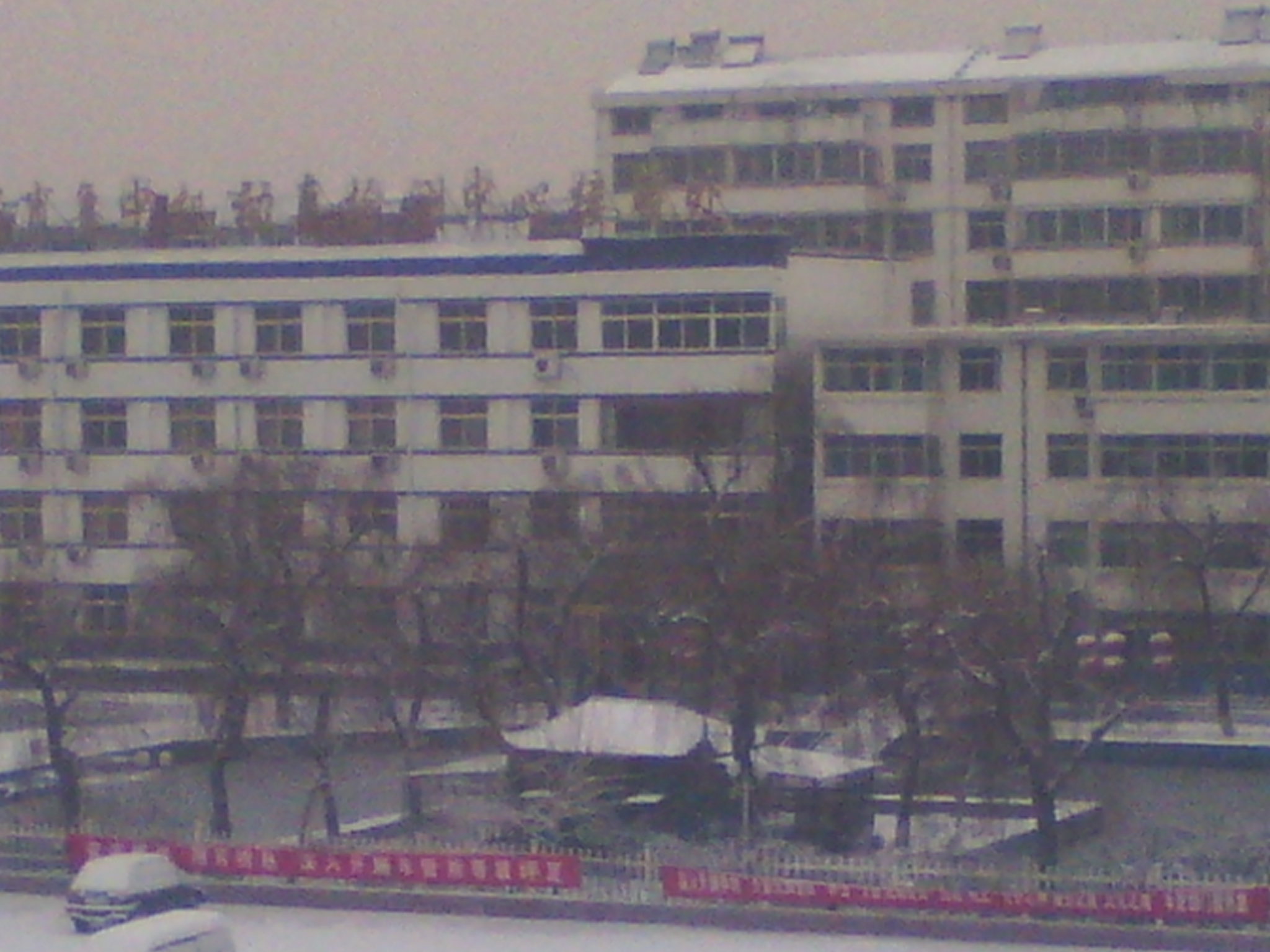 IMG_20121229_080100.jpg