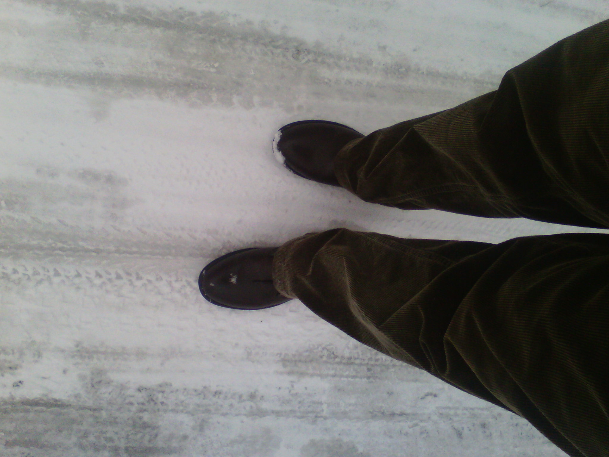 IMG_20121229_073652.jpg
