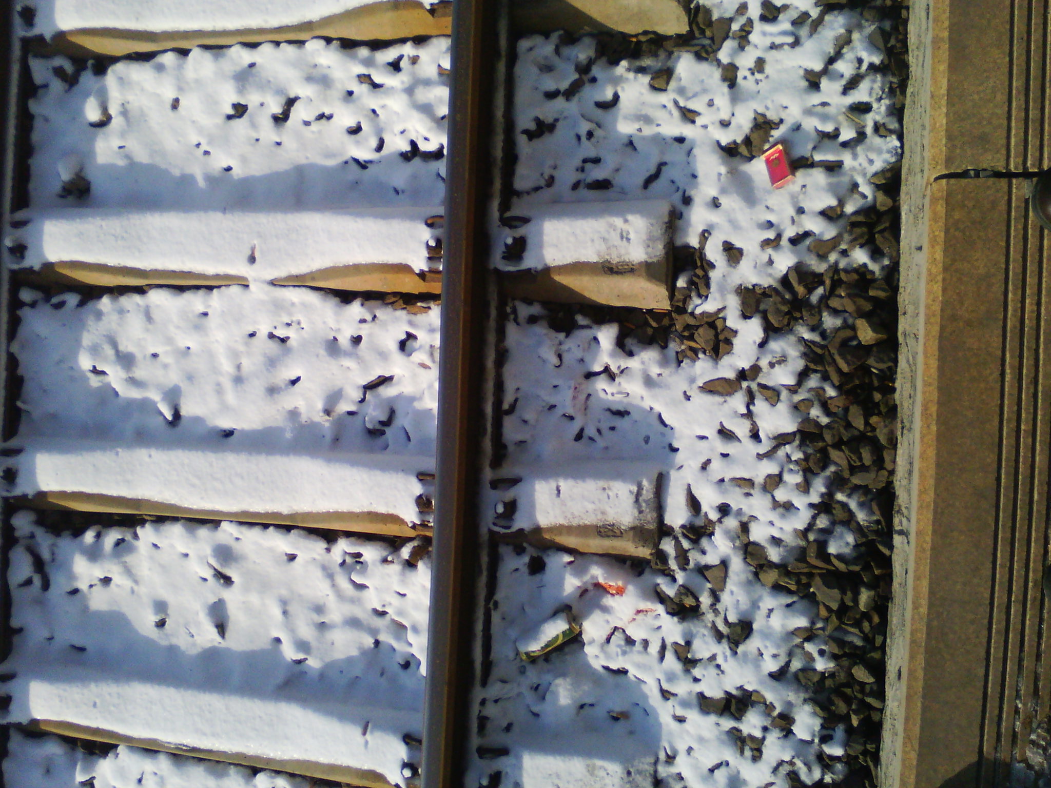 IMG_20121230_094656.jpg