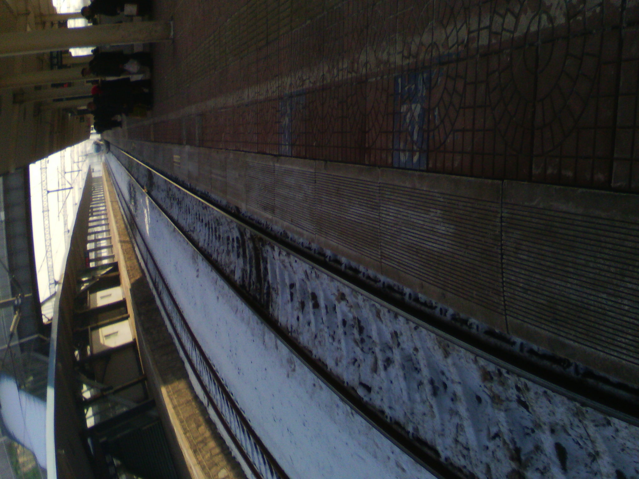 IMG_20121230_094806.jpg