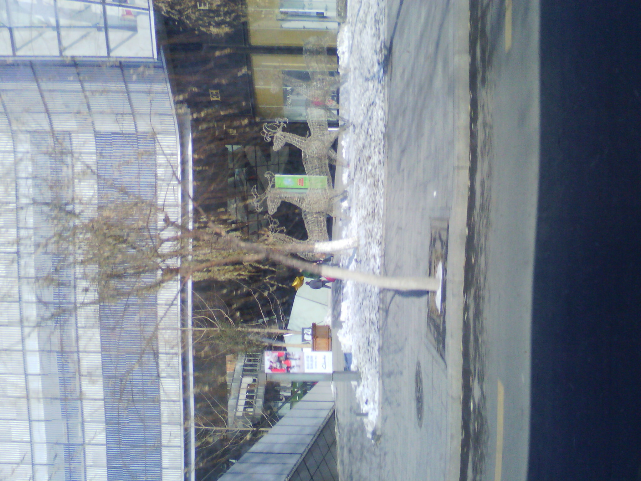 IMG_20121230_111251.jpg