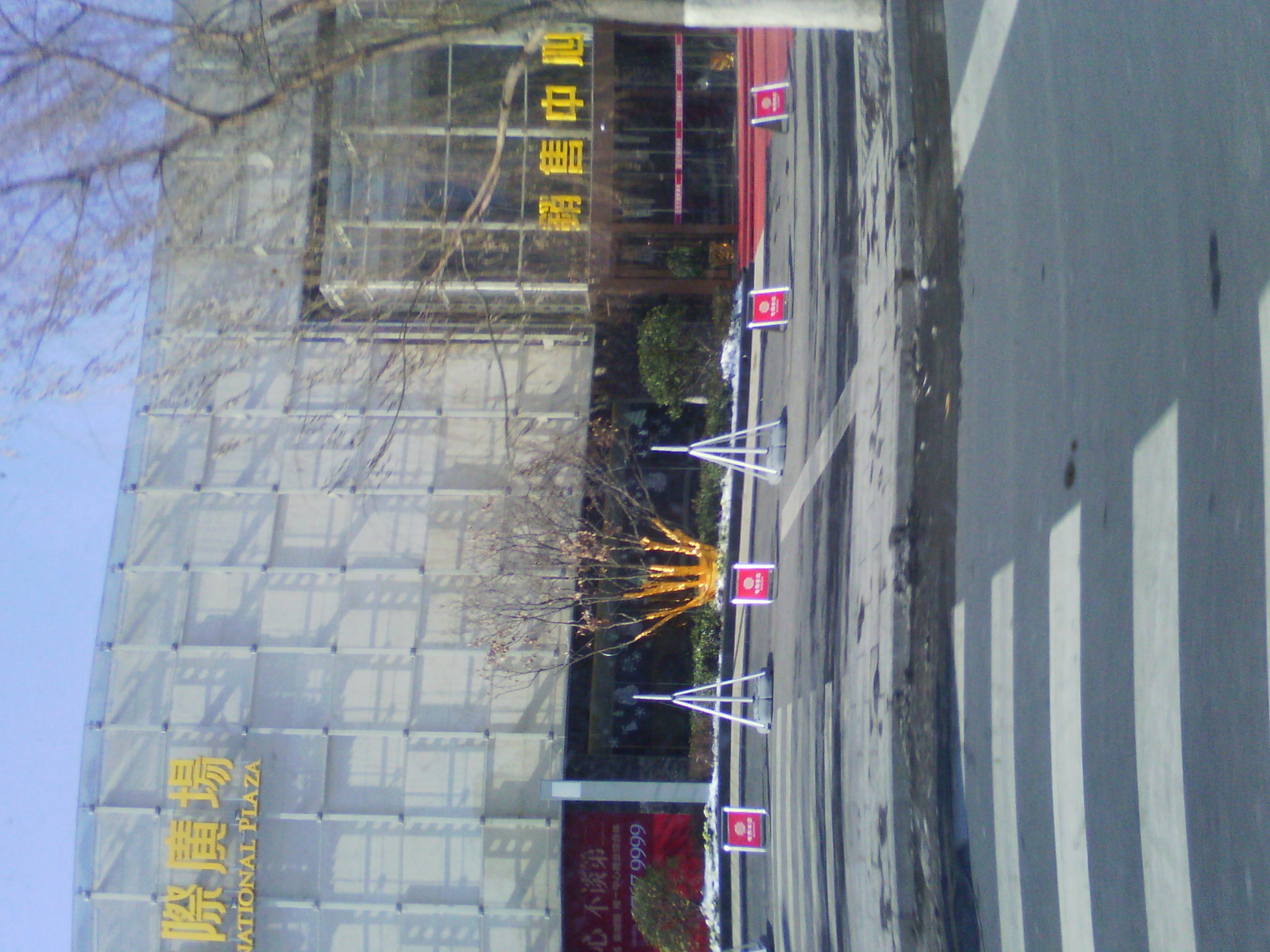 IMG_20121230_111540.jpg
