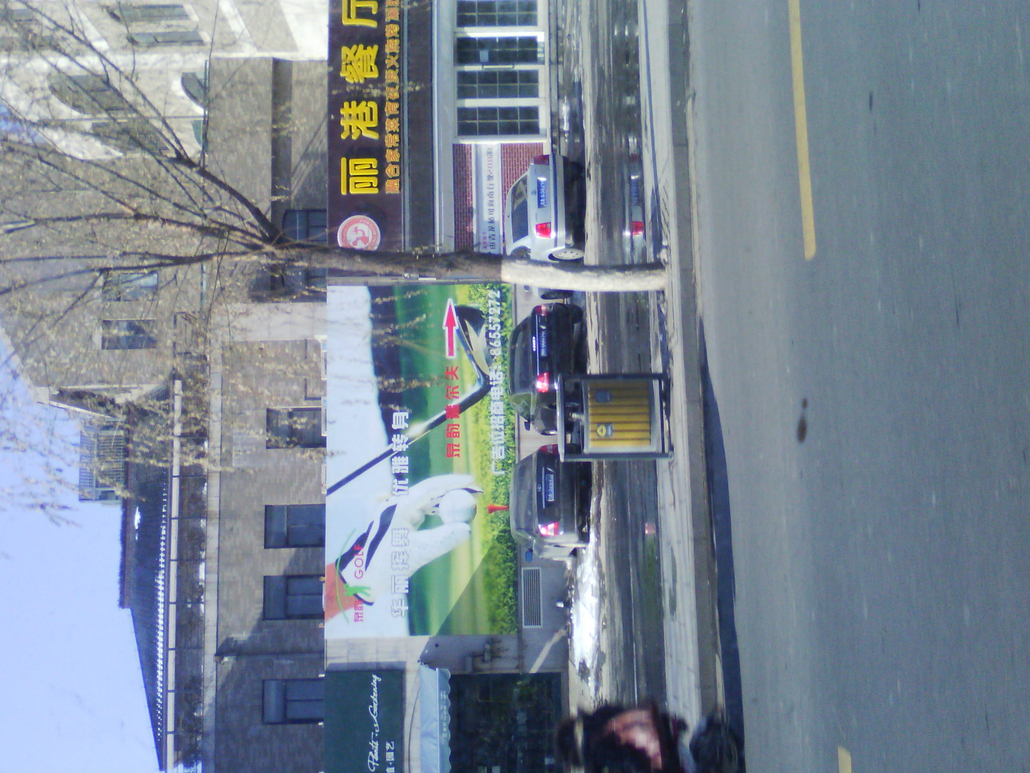 IMG_20121230_111544.jpg
