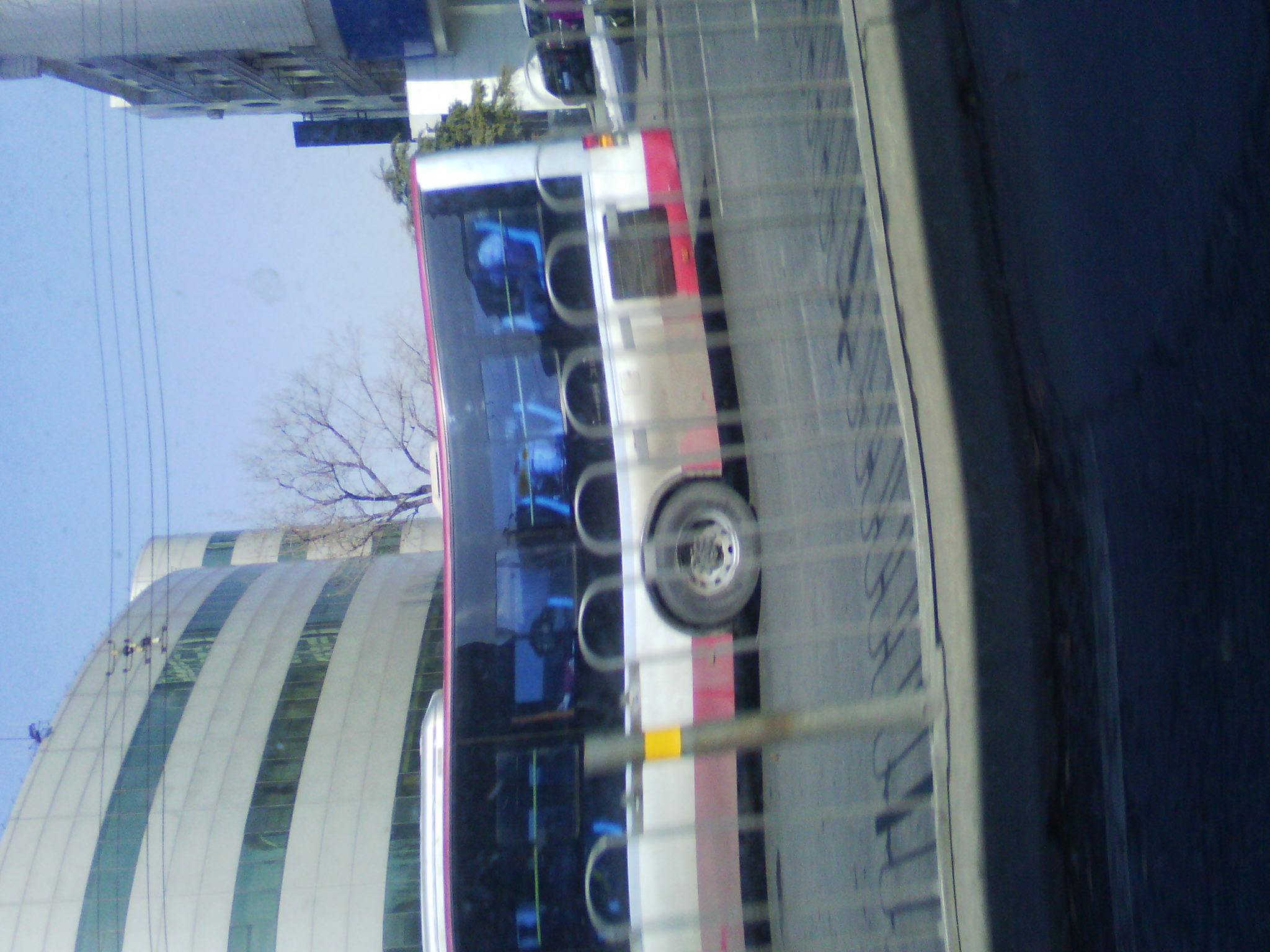 IMG_20121230_111752.jpg