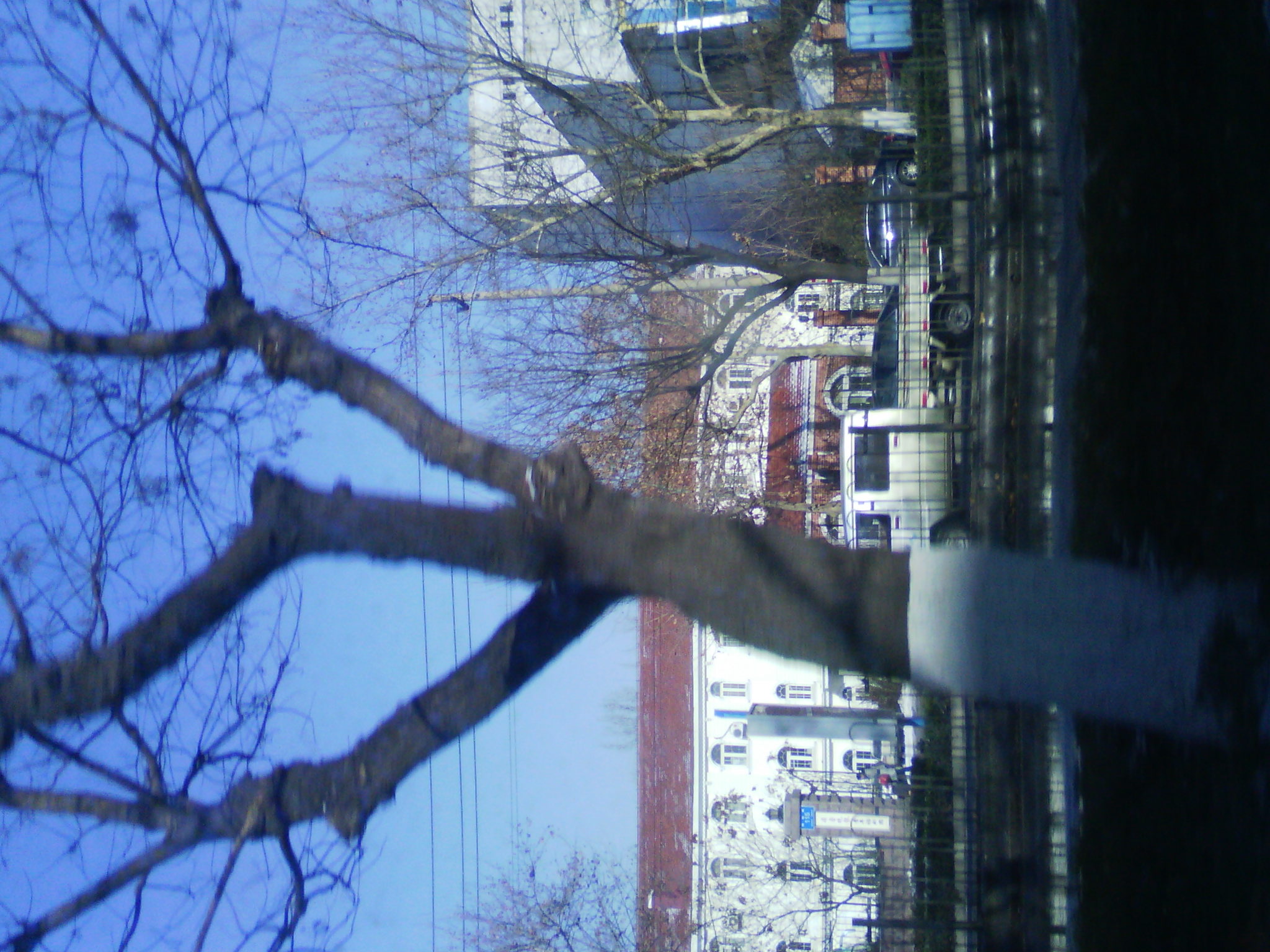 IMG_20121230_112109.jpg