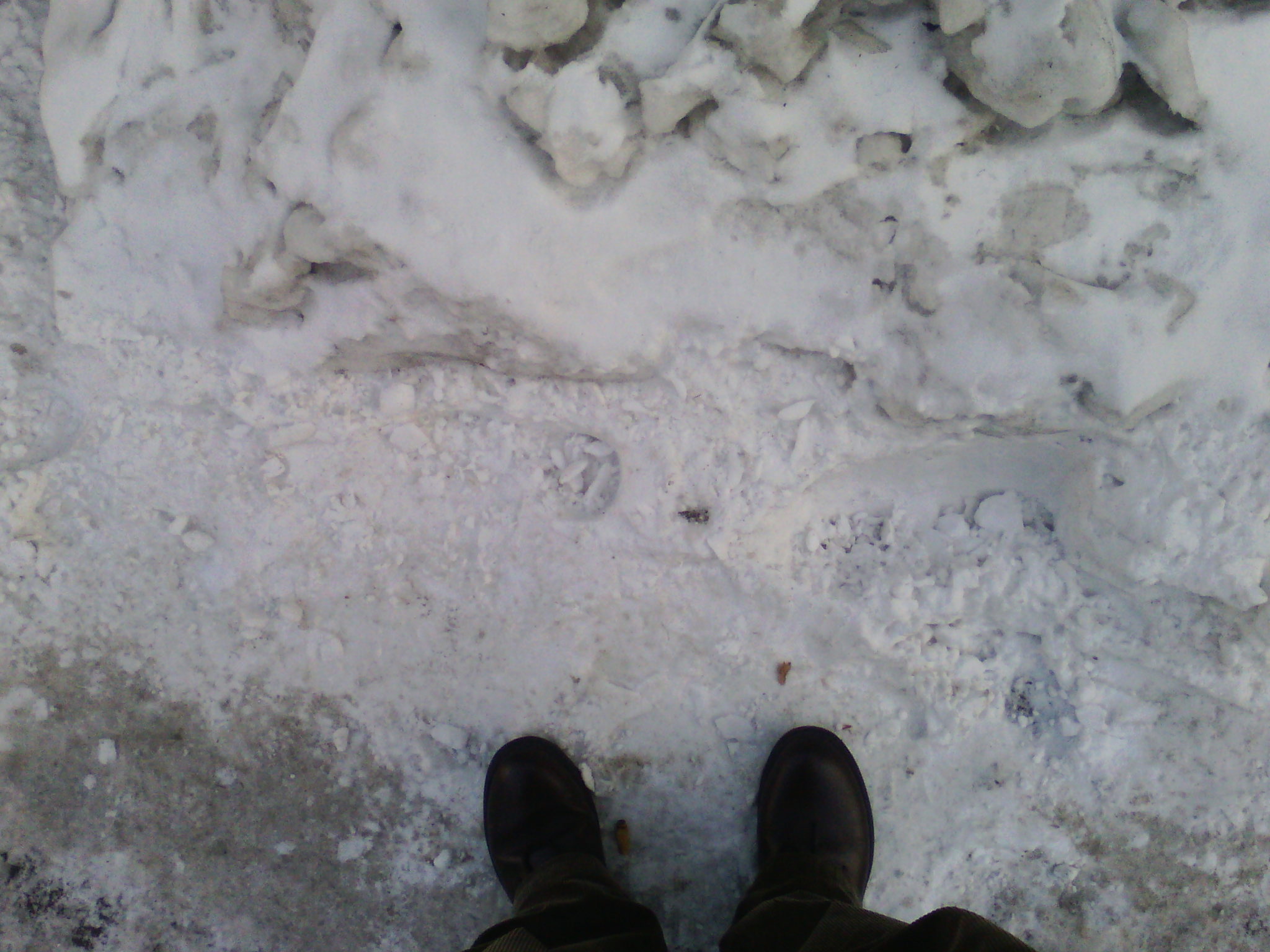IMG_20121230_112258.jpg