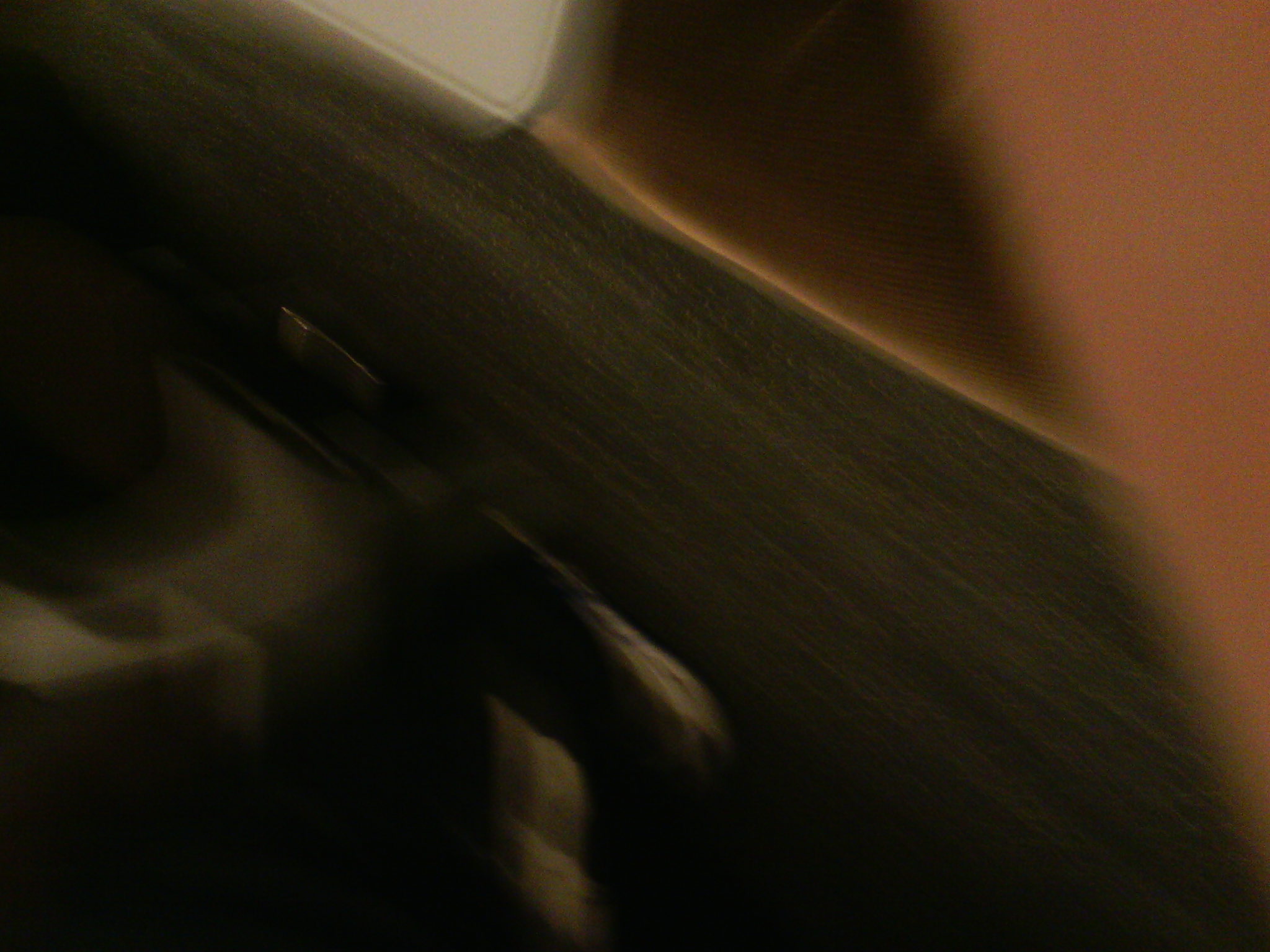 IMG_20121231_071749.jpg